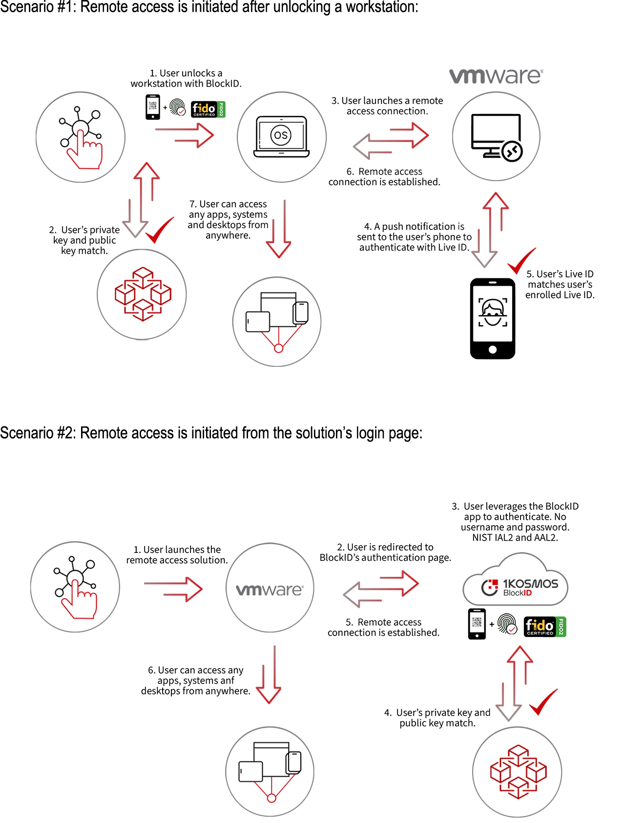 vmware diagram scenario 1 and 2